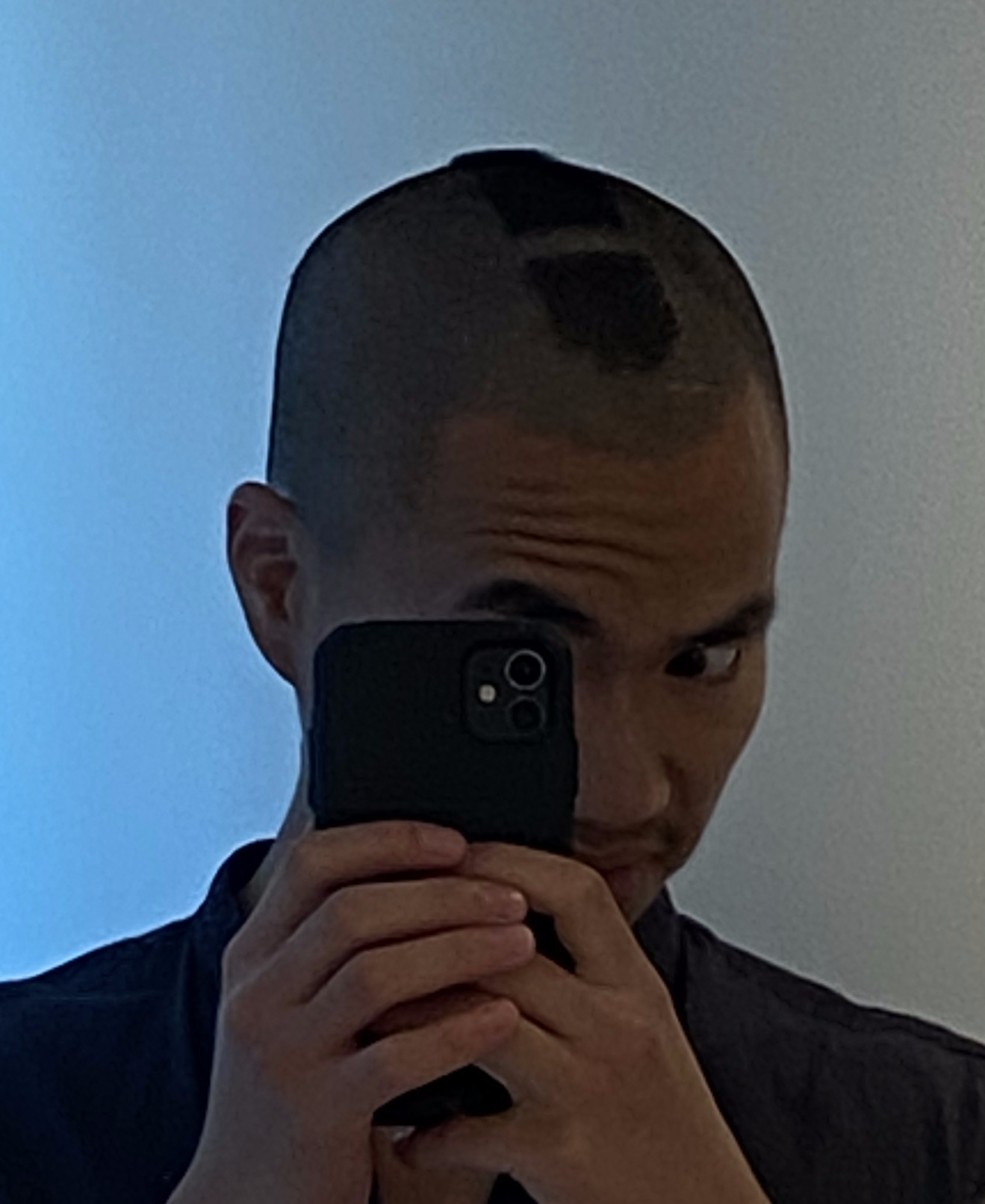 hairs_4